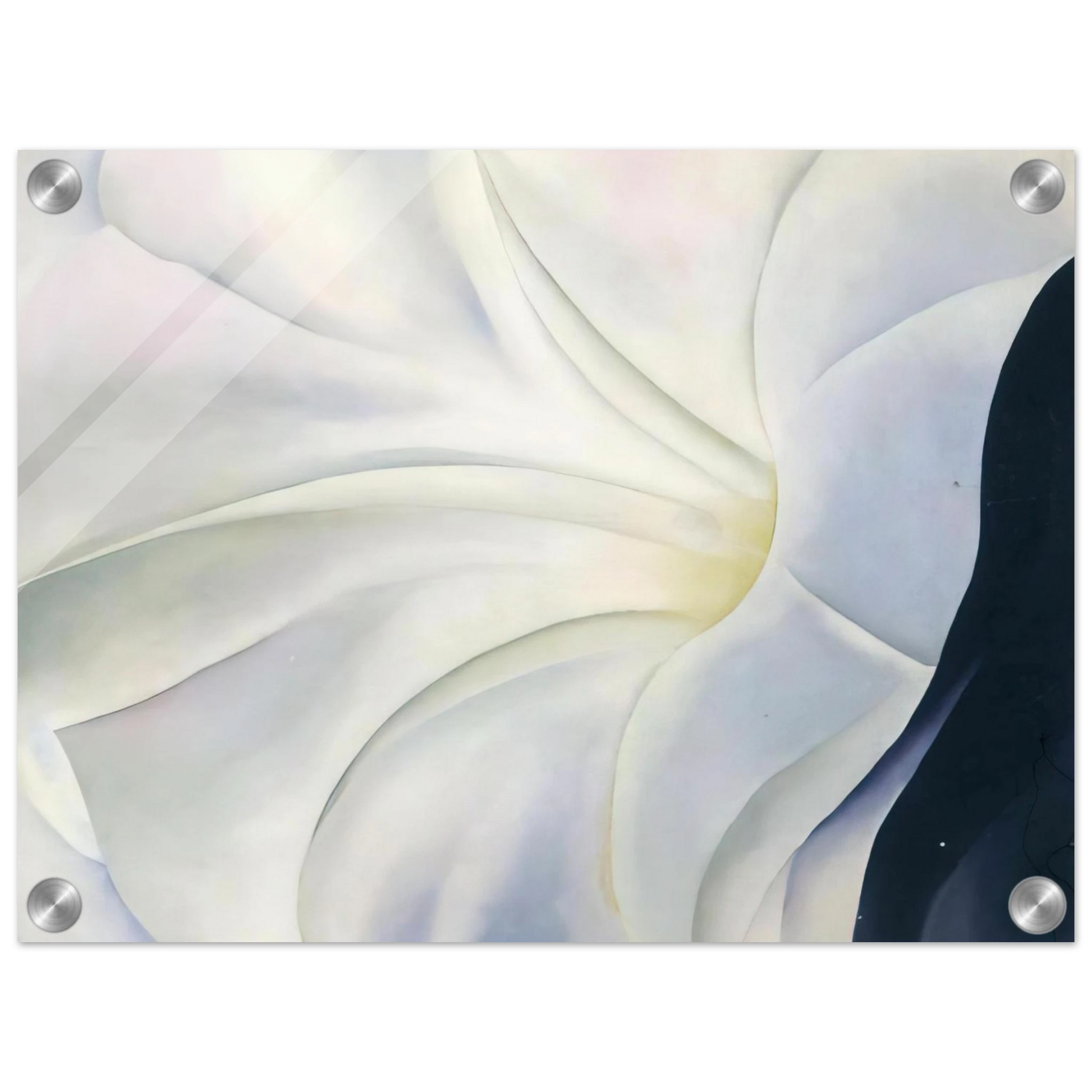 f2edb047-c91e-4752-9bec-749641c0aada