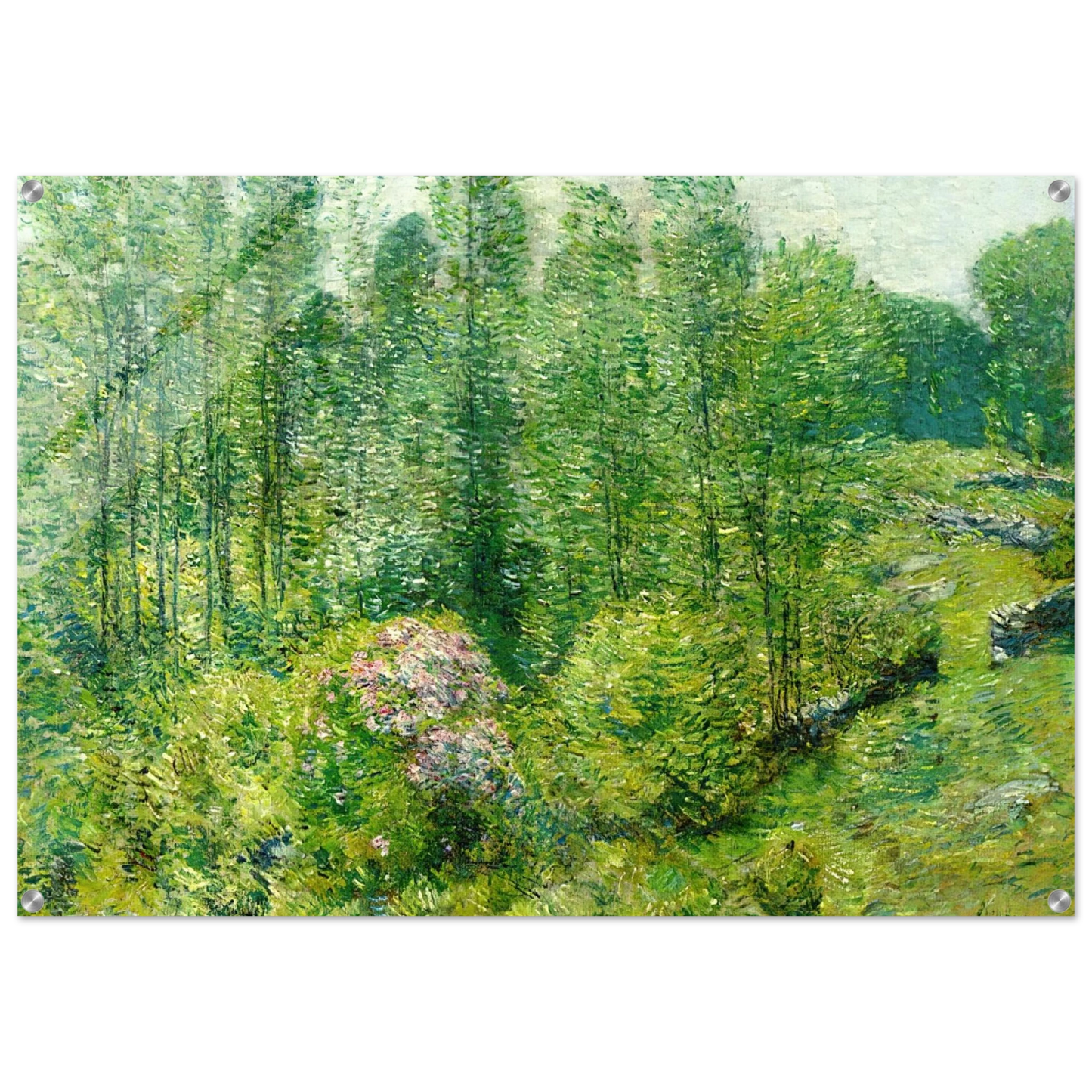 f3879de0-1b4e-4194-8c2b-078ba6206616