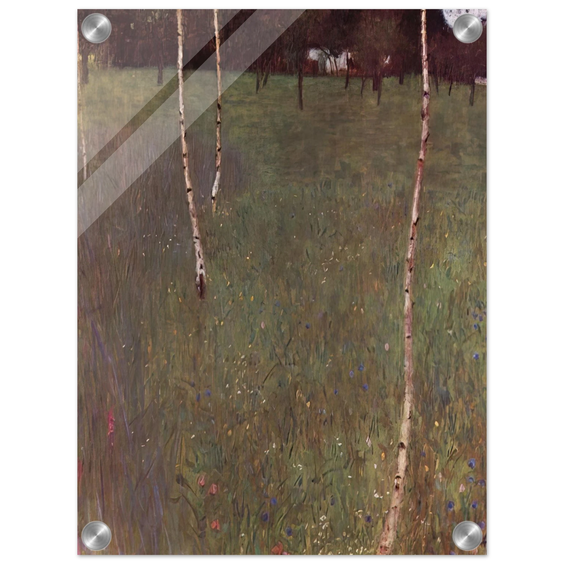 f42968d4-2894-4513-b8d7-1e87ea75d06d