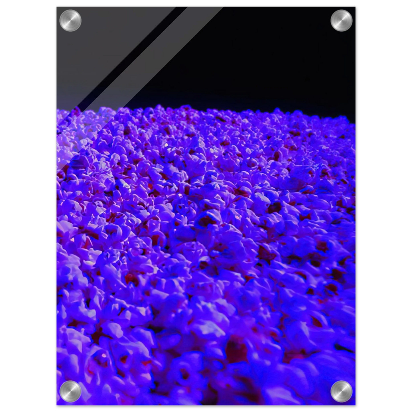 f4744430-268e-41ae-b821-a6df2d4b7ee9