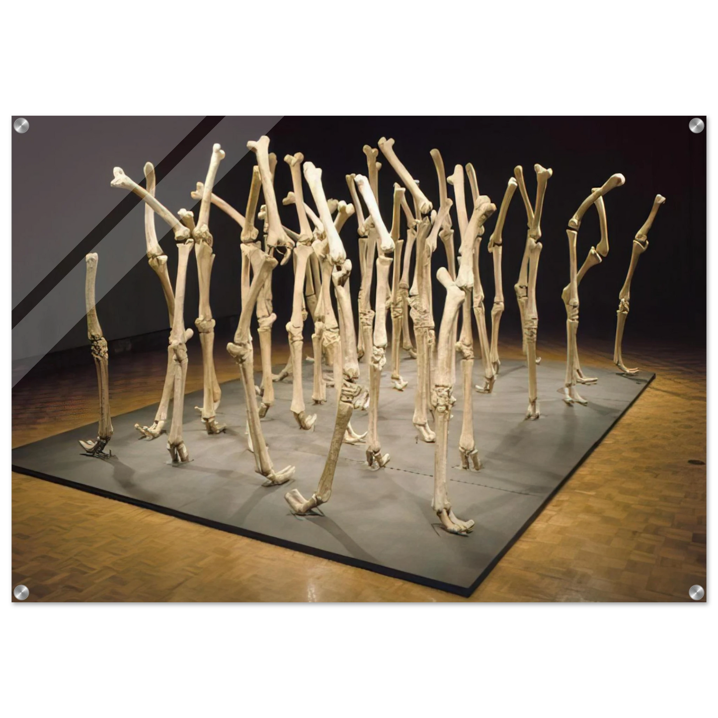 f534130c-7a08-4206-8bc6-a4926eced860