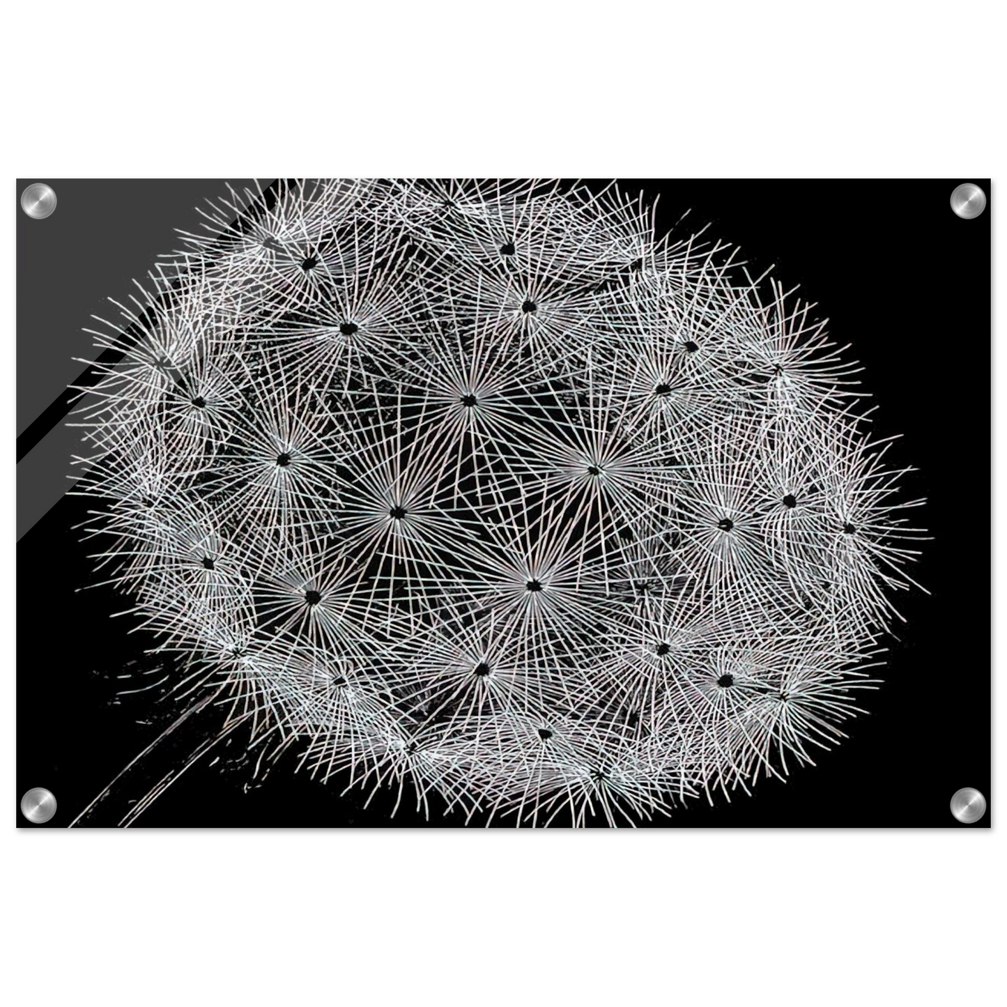 f95a87f8-6776-47a5-b1e6-da69396ed2a1