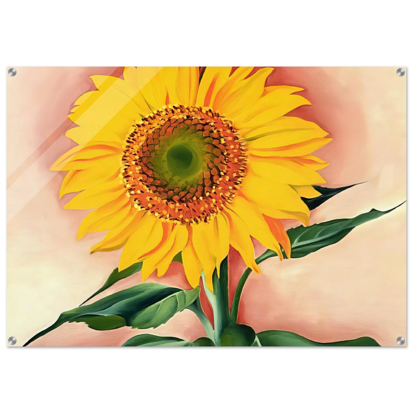 f9796d41-3b60-4fdb-847f-daa308e3ee1d