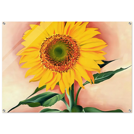 f9796d41-3b60-4fdb-847f-daa308e3ee1d