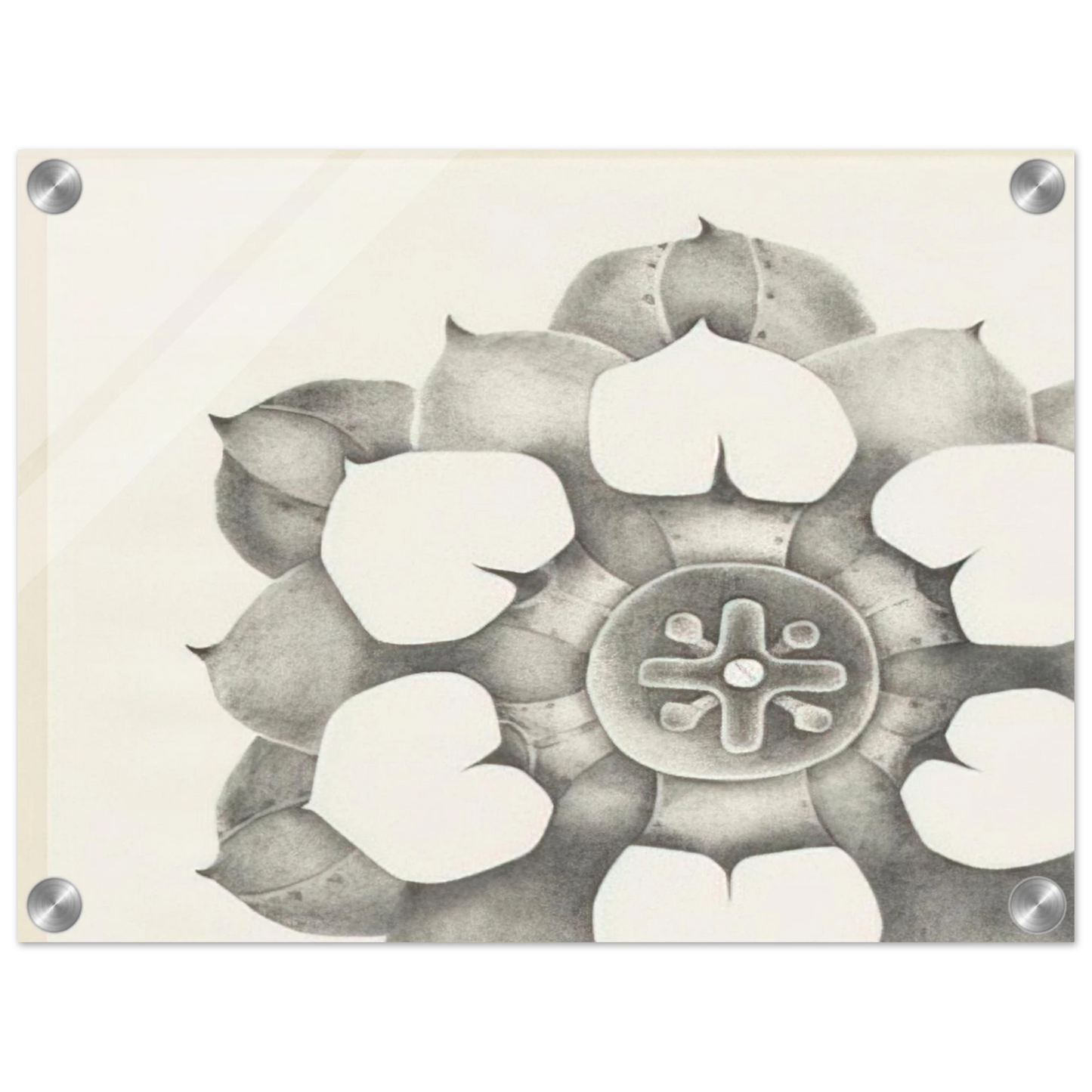 fcfeb987-168a-446b-8a14-cc89224aebde