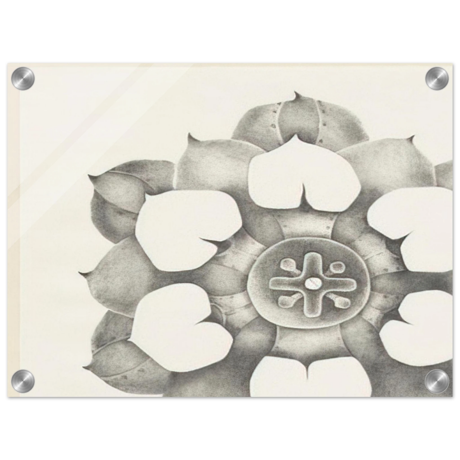 fcfeb987-168a-446b-8a14-cc89224aebde