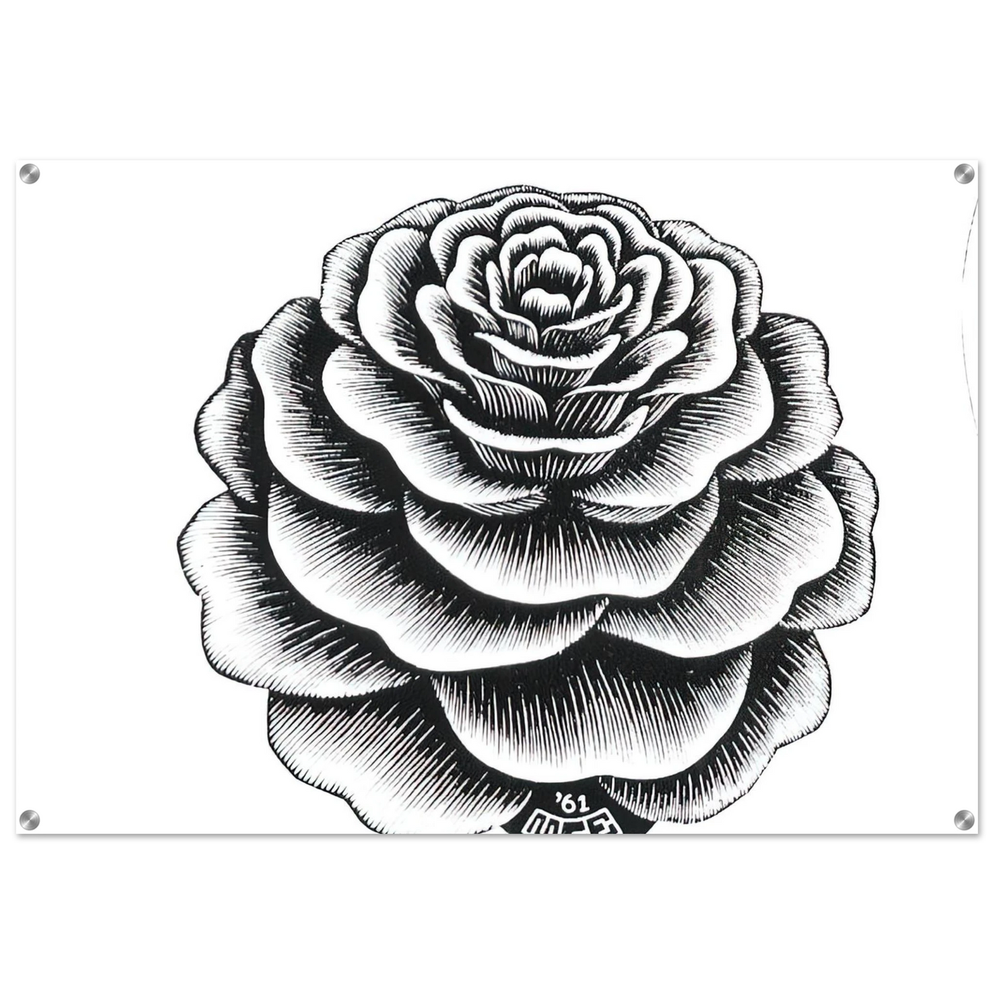 fd40a728-1f1f-498c-bb23-b24553c84dfe