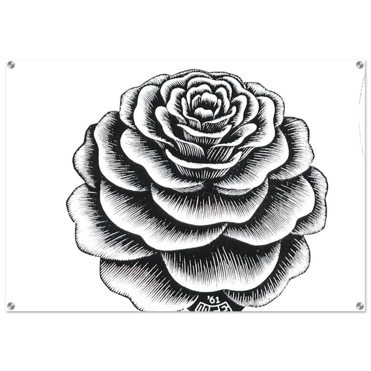 fd40a728-1f1f-498c-bb23-b24553c84dfe