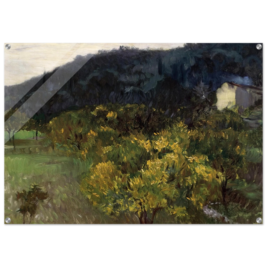 fdc3cbc1-b34c-4e99-8c1d-2ca2a3f892b2