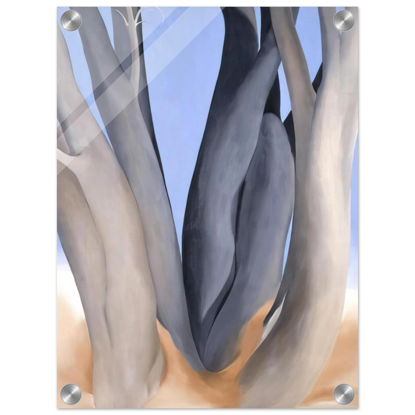 fe902eb4-42b6-4fb7-a053-008a52db41b5