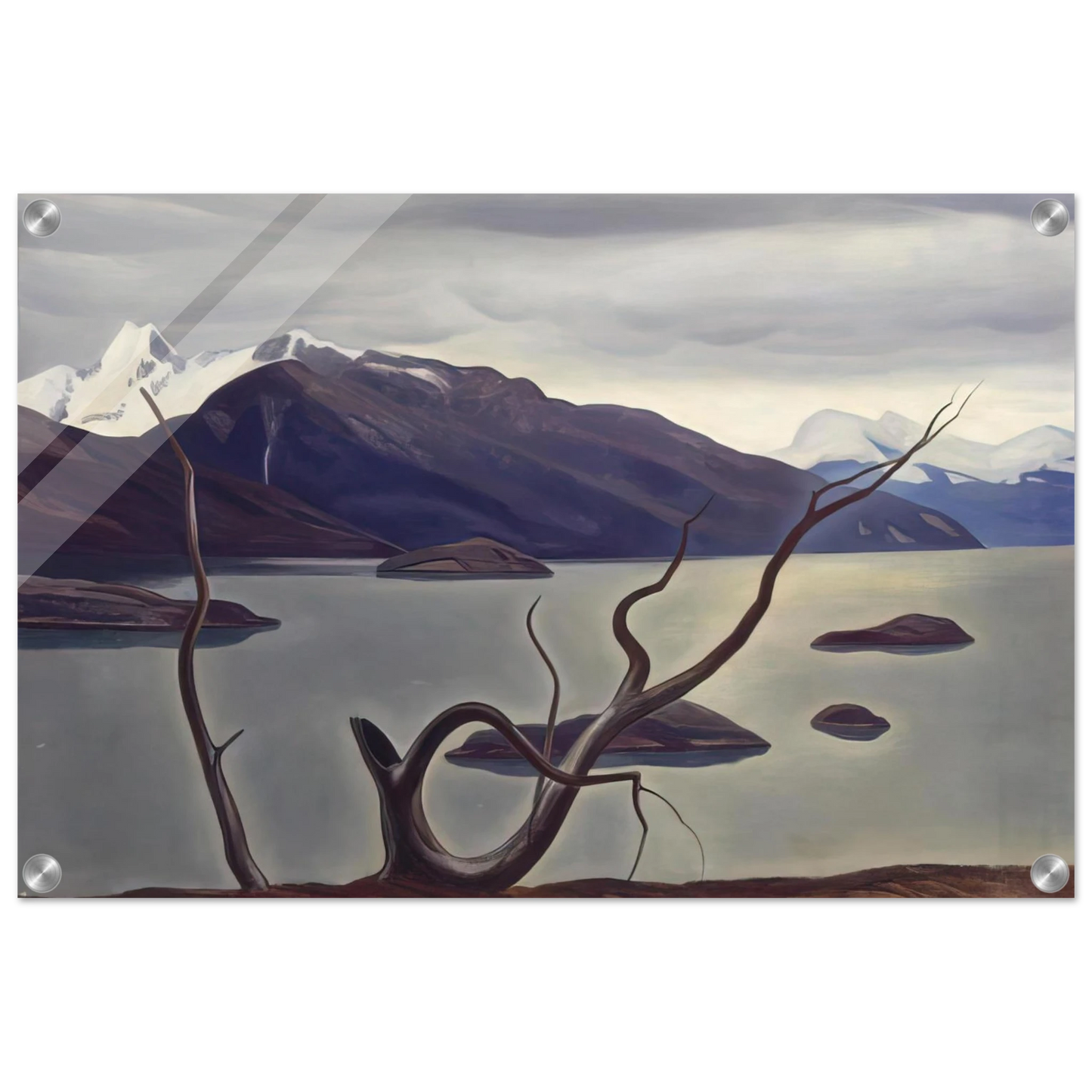 feb0309b-865d-480e-add0-c909b9ef433d