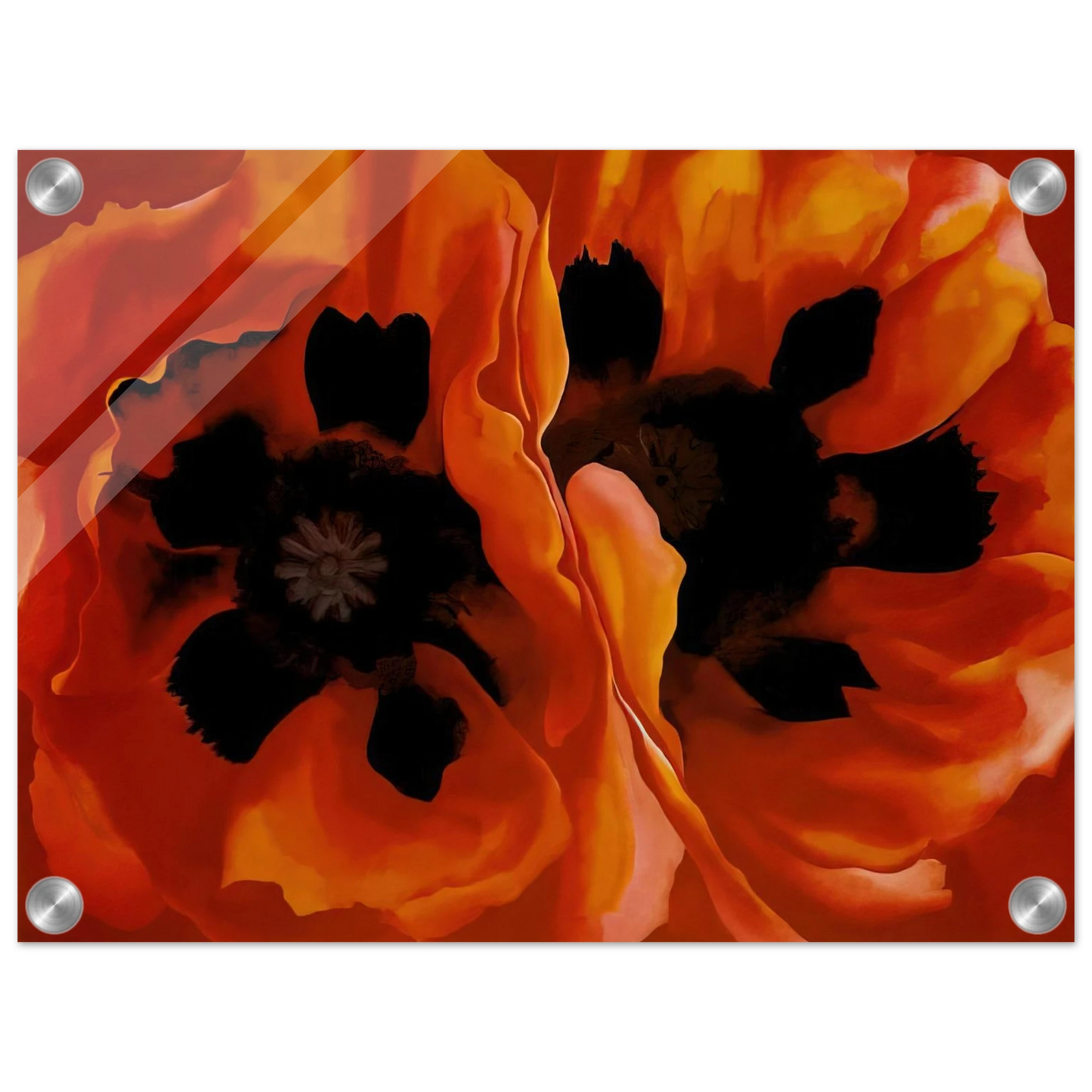 fed75cee-23eb-4c4b-8fc6-612057e32009