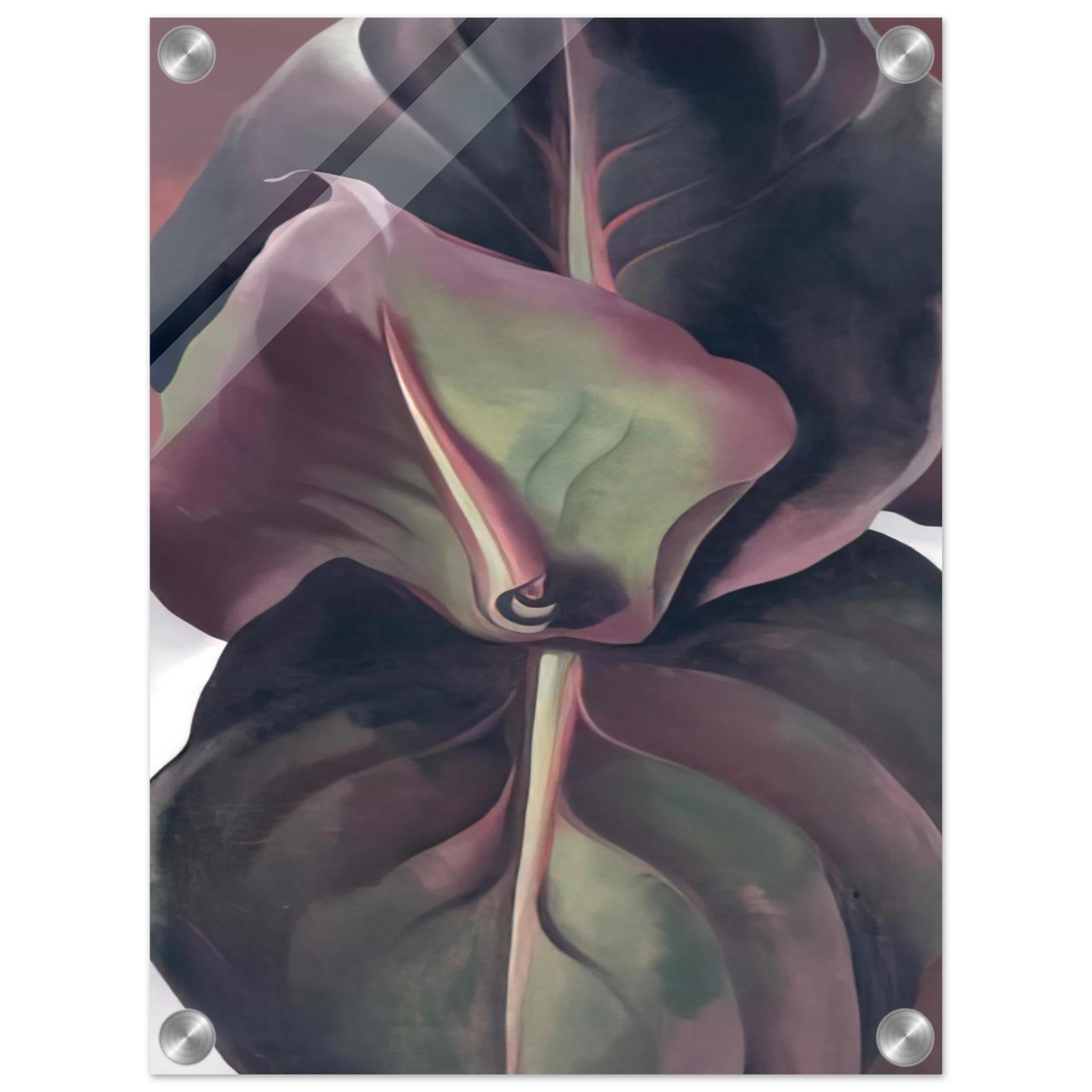 fee5e847-bdb9-49df-be60-7dccf760b128