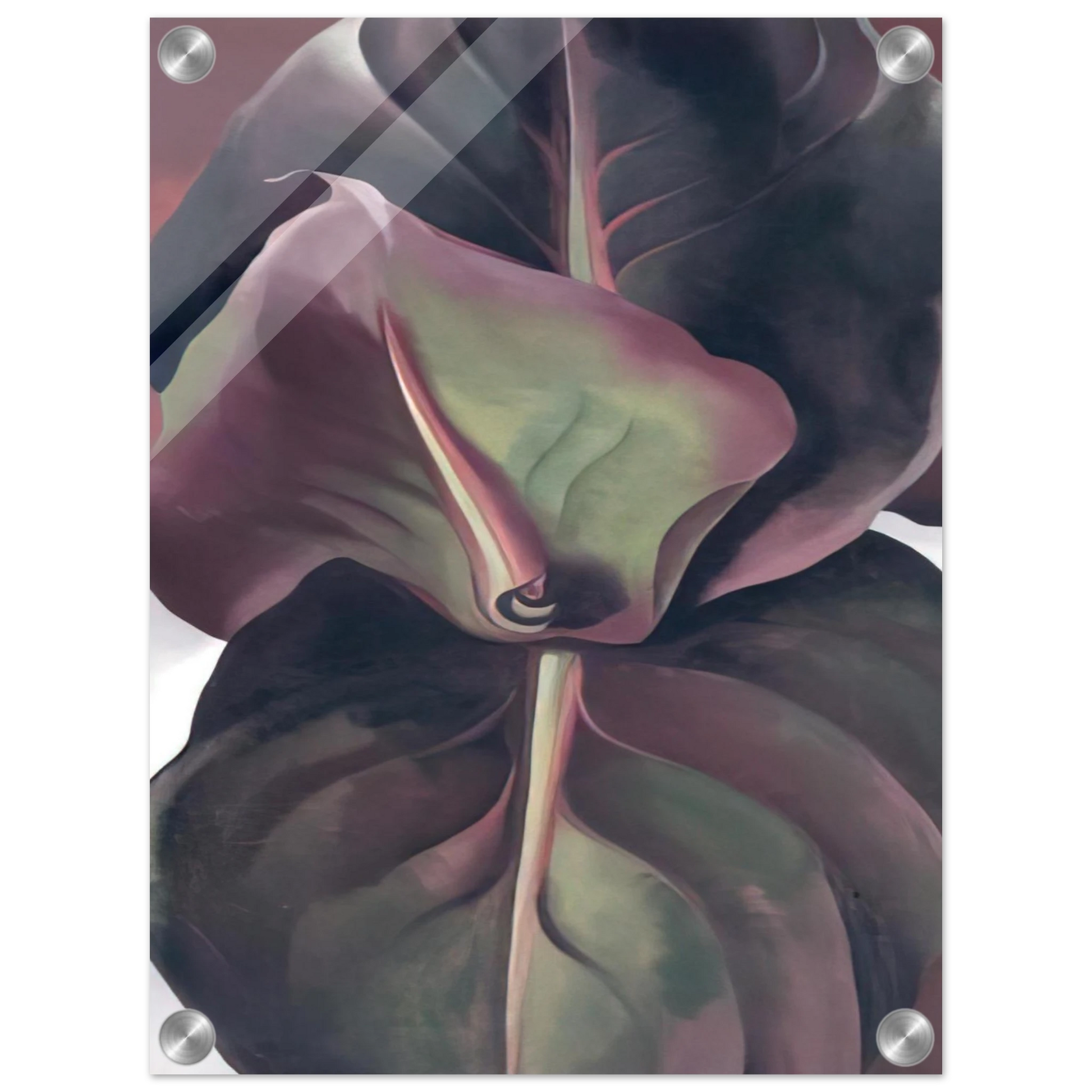 fee5e847-bdb9-49df-be60-7dccf760b128